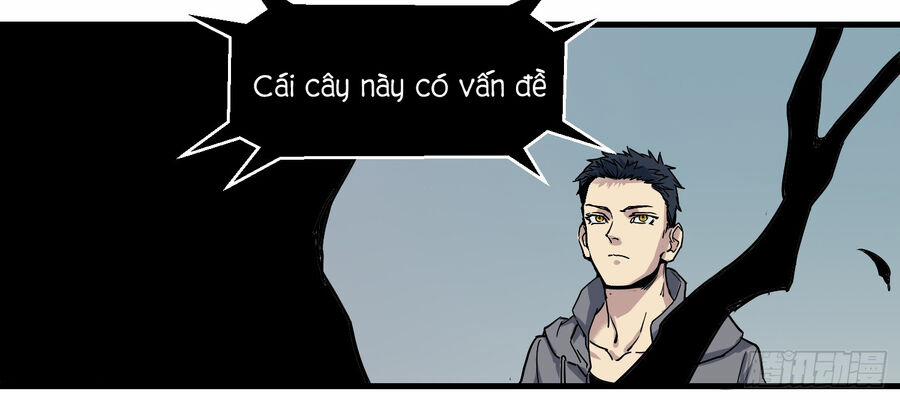 Số 63 Phố Bàng Bối 4 trang 13