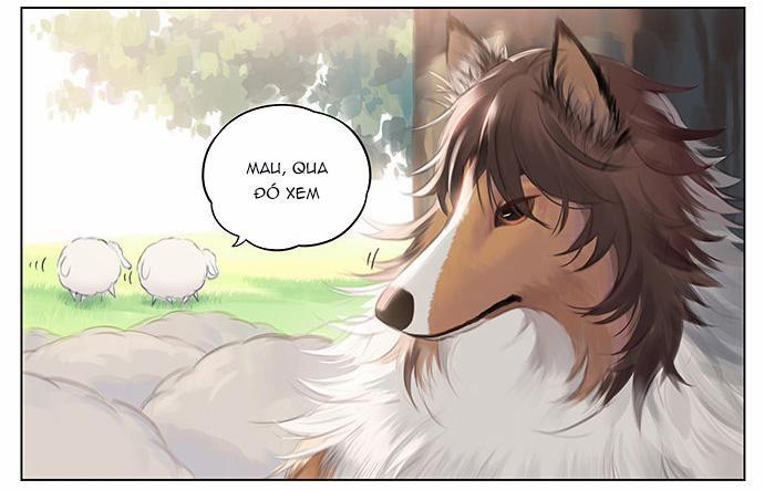 SÓI VÀ CHÓ CHĂN CỪU 3 trang 1