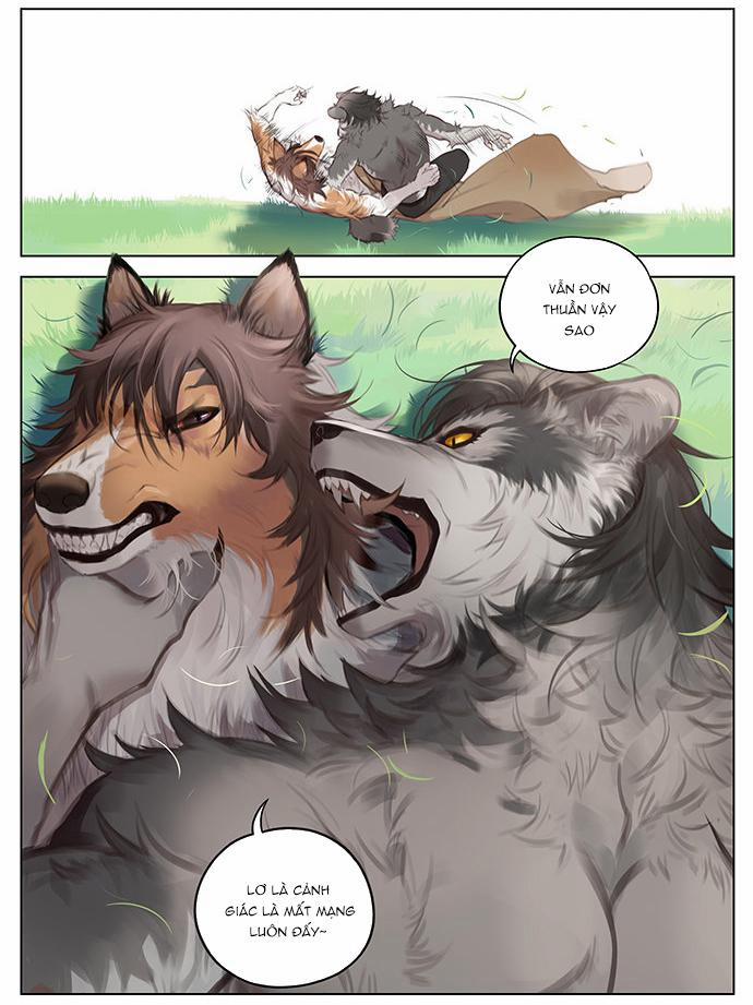 SÓI VÀ CHÓ CHĂN CỪU 3 trang 10