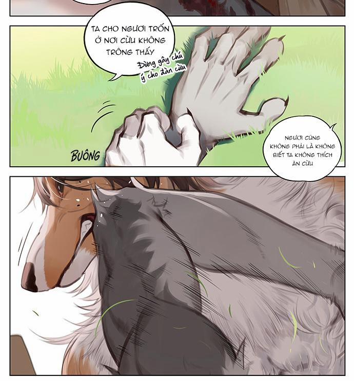 SÓI VÀ CHÓ CHĂN CỪU 3 trang 9