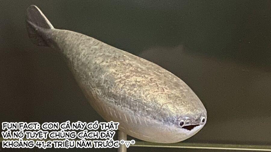 Spis, Nhân Viên Bán Hàng 1 trang 1