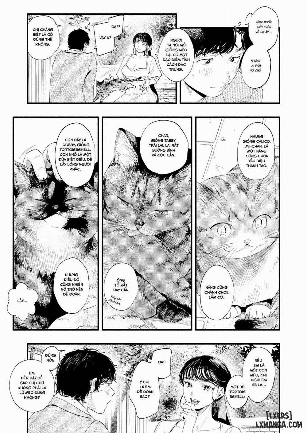 Studying Misuzu Oneshot trang 2