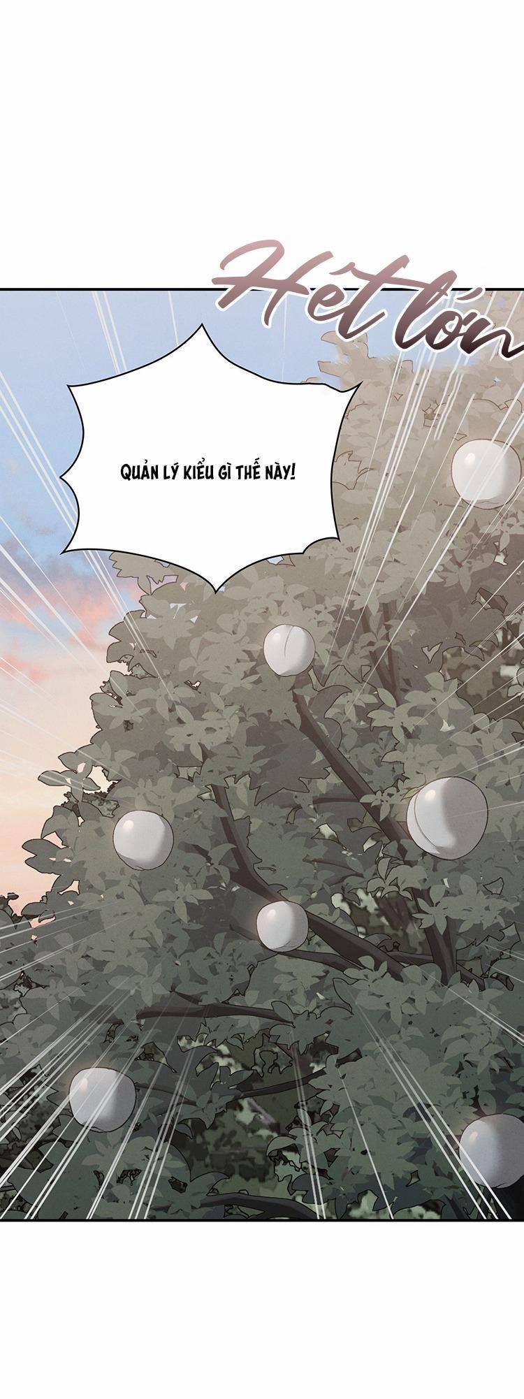 SỨ GIẢ THẦN CHẾT 31 trang 1