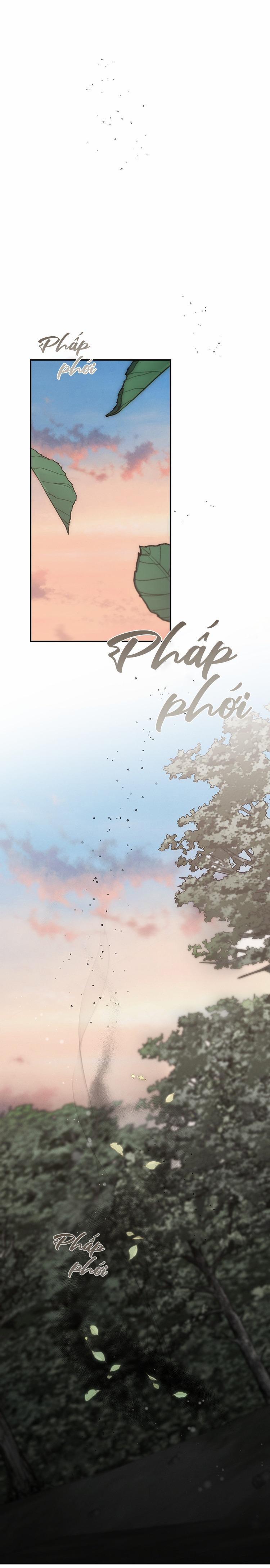 SỨ GIẢ THẦN CHẾT 31 trang 11