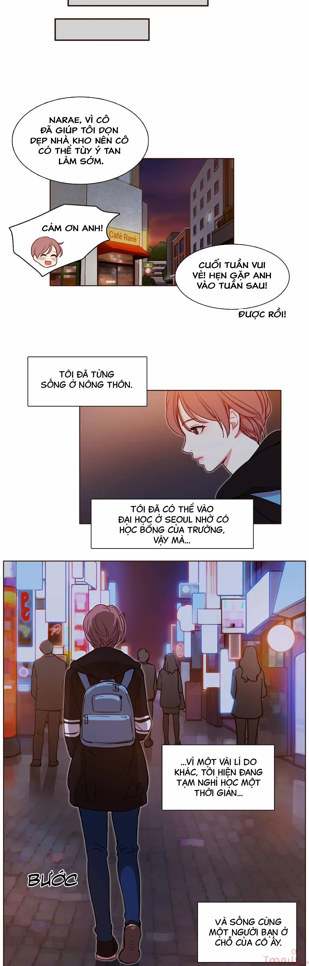 Sự suy tưởng trong đầu tôi 1 trang 13