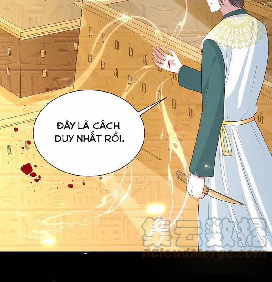 Sủng Hậu Của Vương 167 trang 13