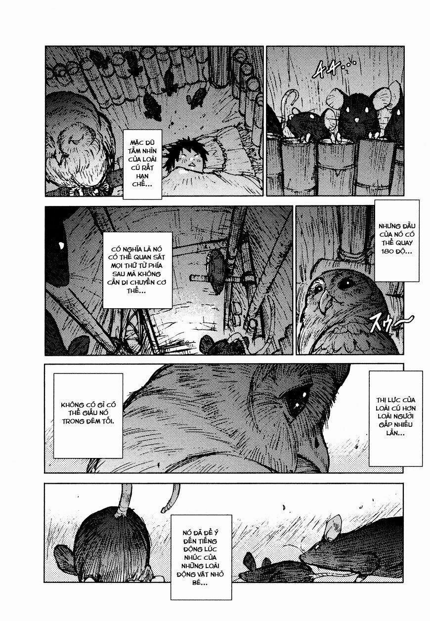 Survival - Shounen S No Kiroku 25 trang 1