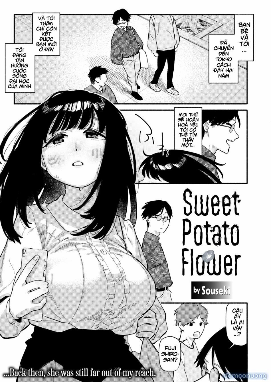 Sweet Potato Flower OneShot trang 1