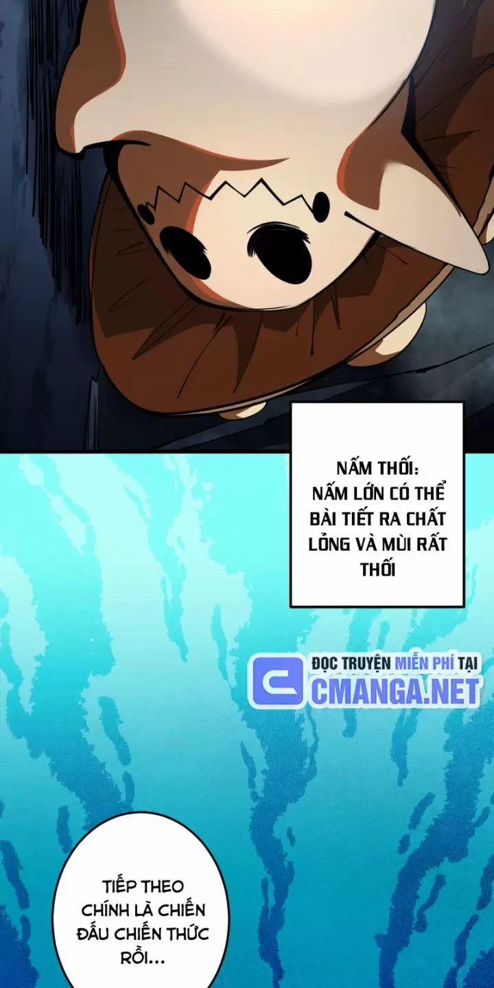 Ta, Chúa Tể Rừng Xanh 6 trang 14