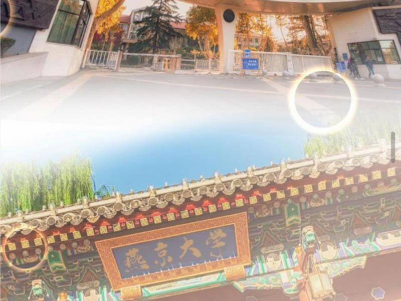 Ta Có 90 Tỷ Tiền Liếm Cẩu! 444 trang 17