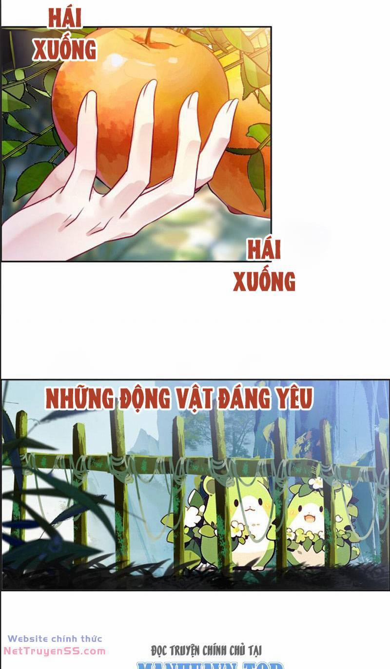 Ta Đây Chính Là Tuyệt Thế Cao Thủ 40.5 trang 1