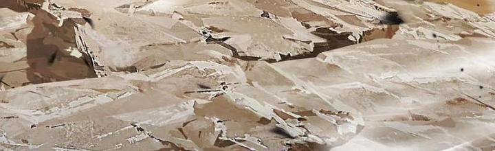 Ta Học Trảm Thần Trong Bệnh Viện Tâm Thần 146 trang 1