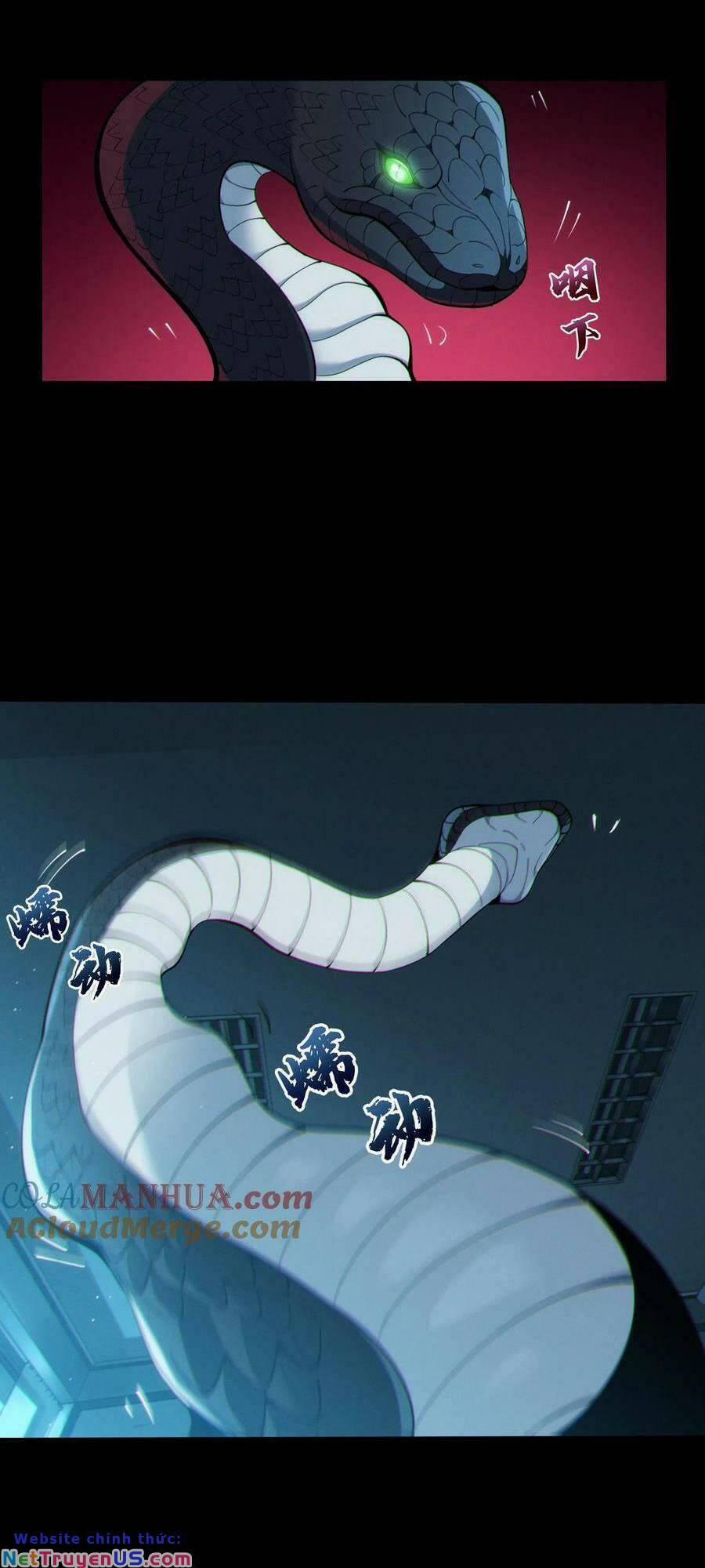 Ta Học Trảm Thần Trong Bệnh Viện Tâm Thần 29 trang 14