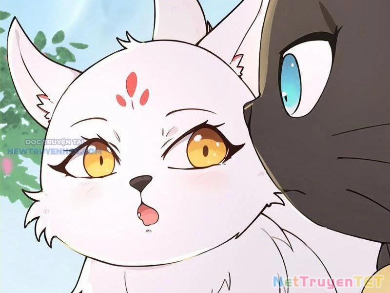 Ta Thực Sự Không Muốn Làm Thần Tiên 105 trang 38