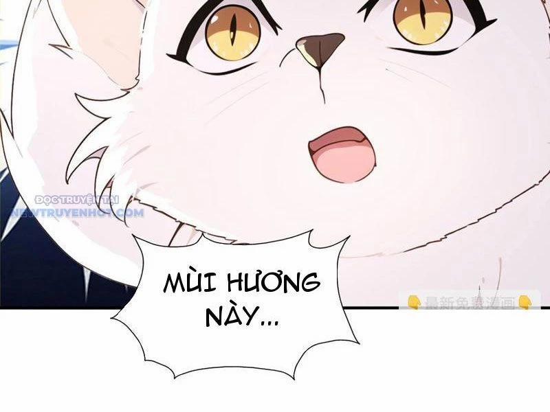 Ta Thực Sự Không Muốn Làm Thần Tiên 105 trang 48