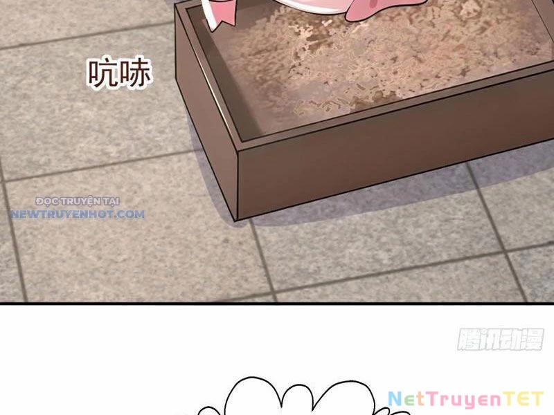 Ta Thực Sự Không Muốn Làm Thần Tiên 105 trang 5