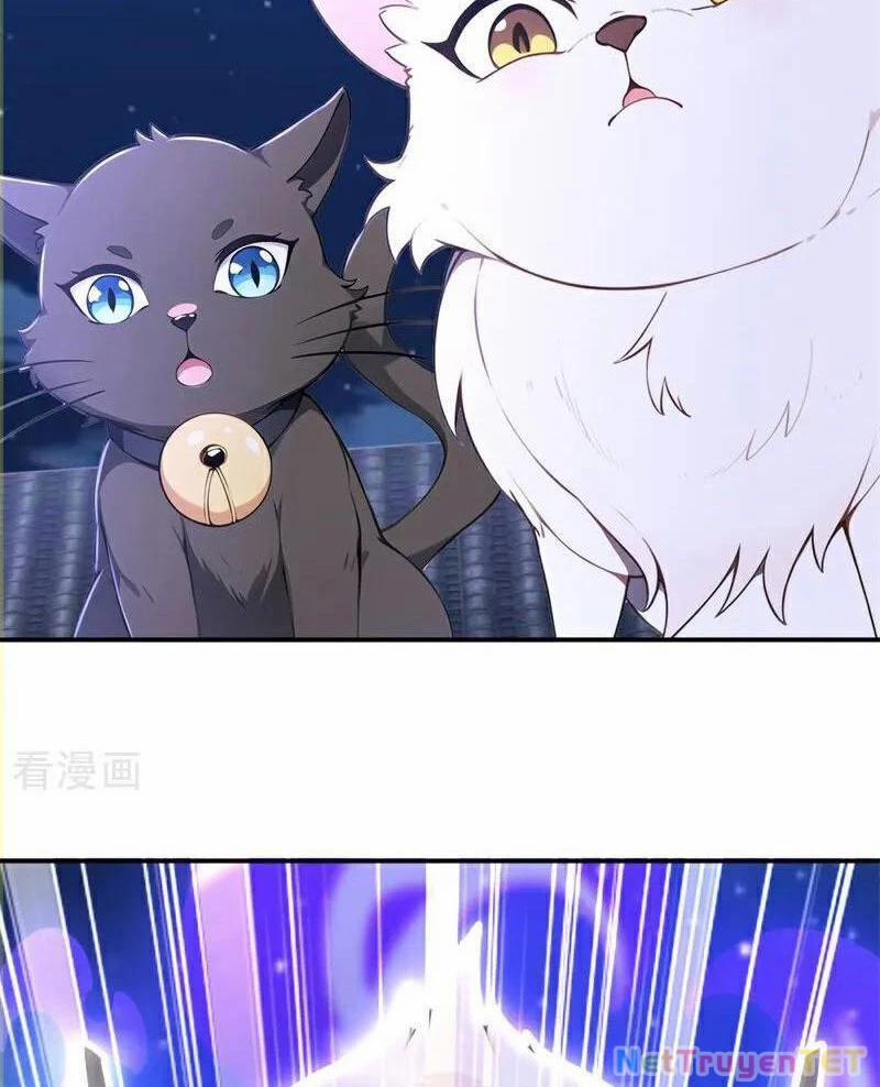 Ta Thực Sự Không Muốn Làm Thần Tiên 125 trang 68