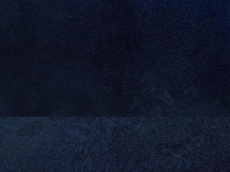 Ta Thực Sự Không Muốn Làm Thần Tiên 21 trang 11