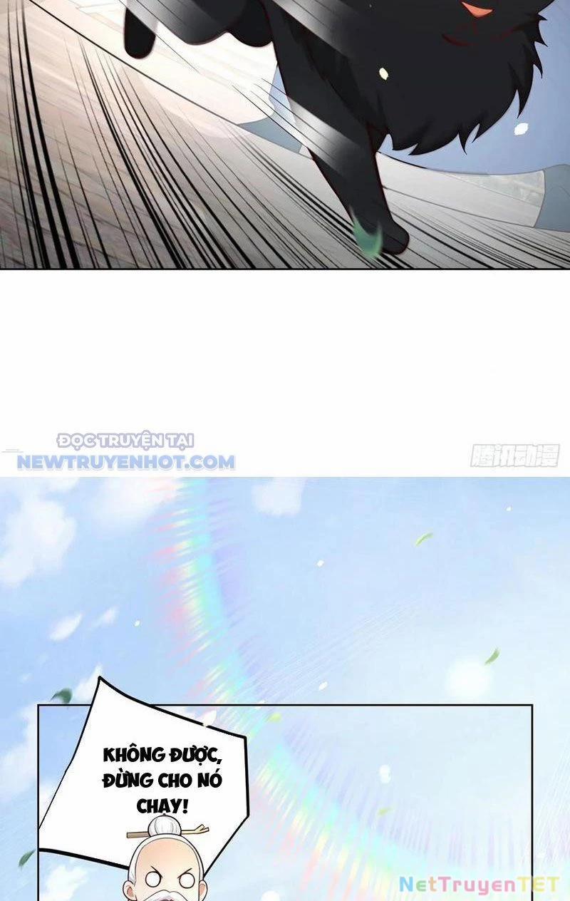 Ta Thực Sự Không Muốn Làm Thần Tiên 68 trang 11