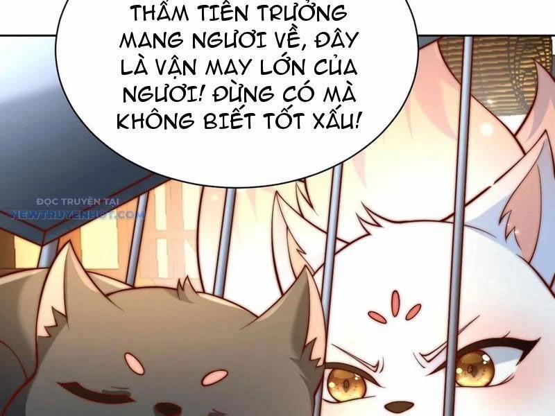 Ta Thực Sự Không Muốn Làm Thần Tiên 70 trang 31