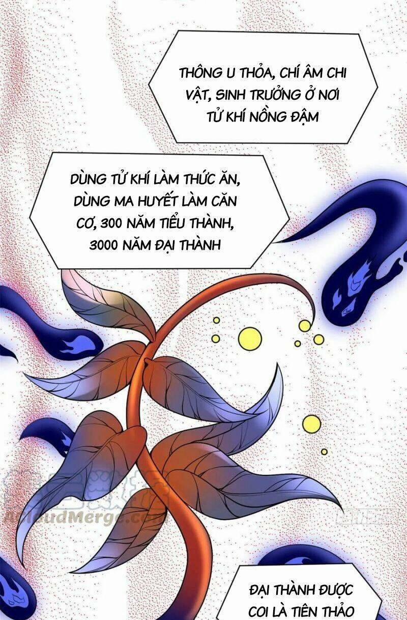 Ta Tu Có Lẽ Là Giả Tiên 177 trang 14