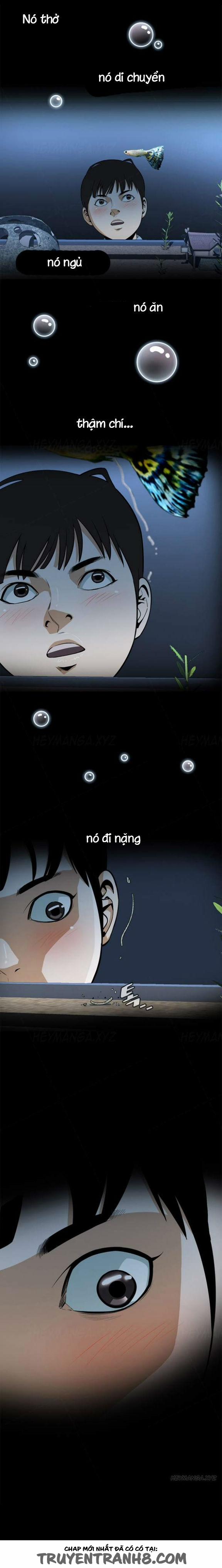 Take A Peek 1 trang 3