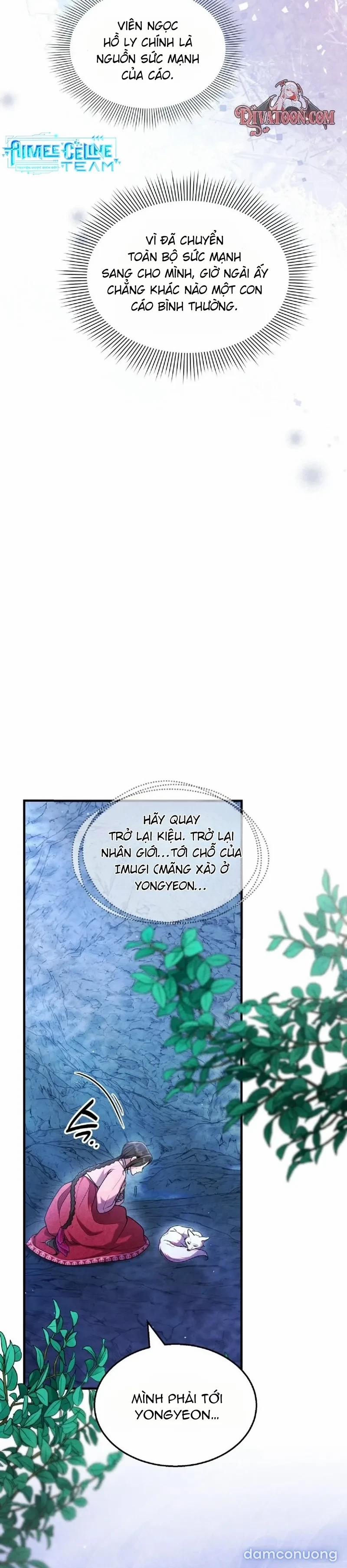Tân Lang Hồ Ly 7 trang 4