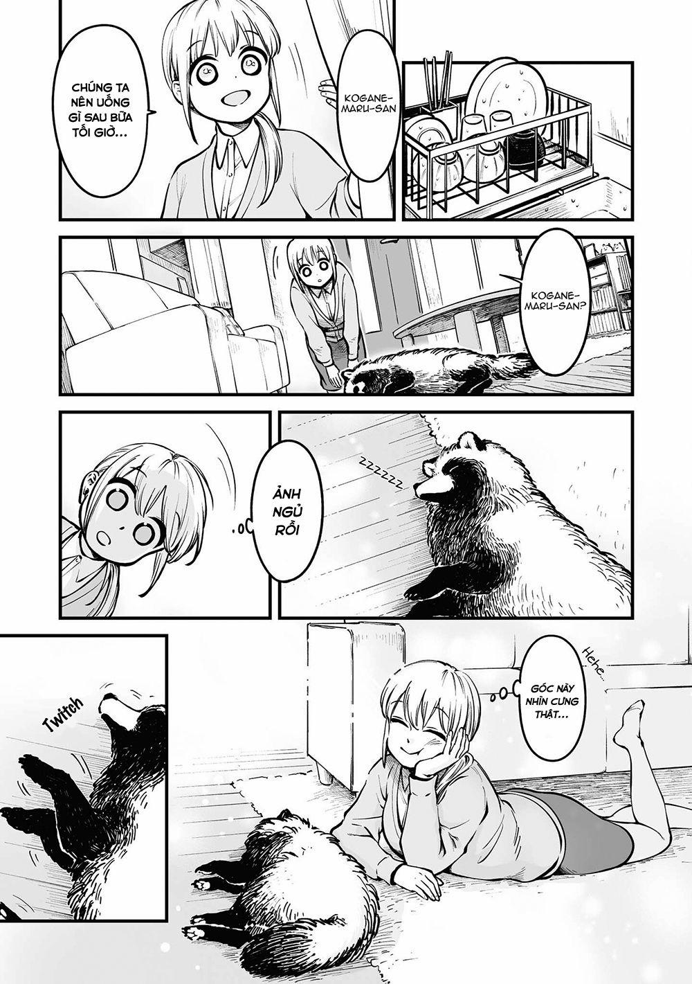 Tanuki 10.2 trang 5