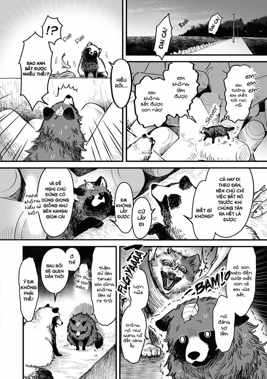 Tanuki 13 trang 4