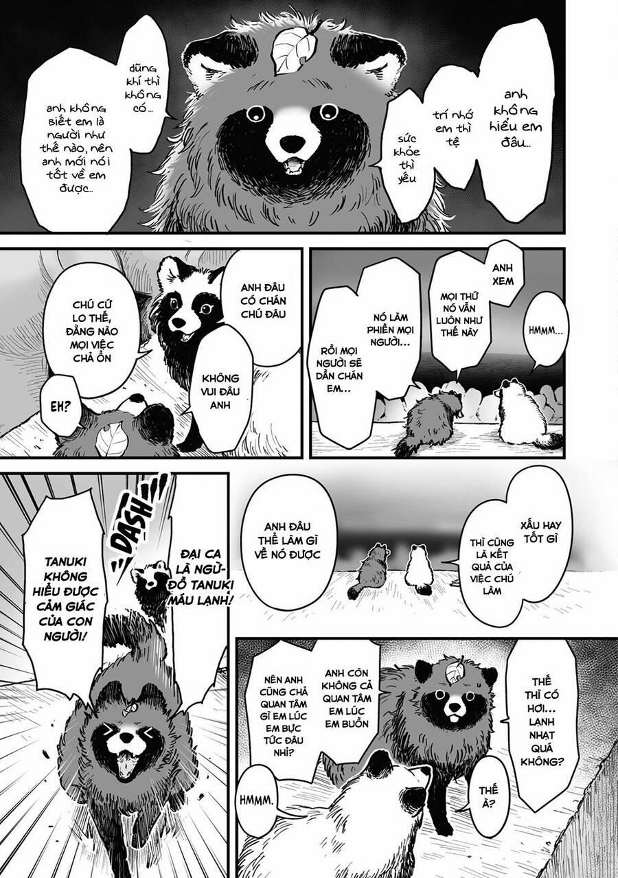 Tanuki 13 trang 5