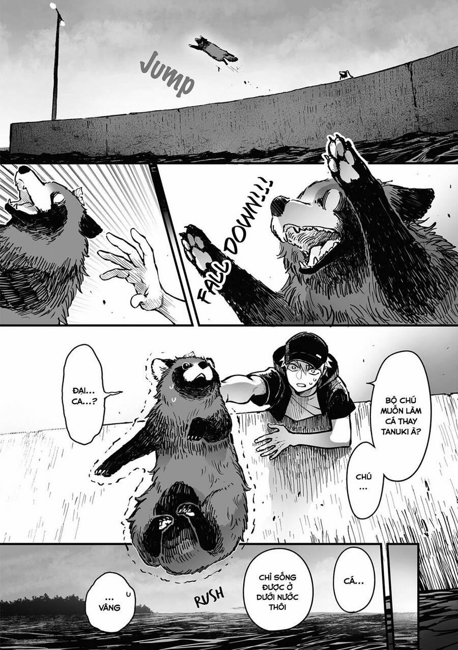 Tanuki 13 trang 6