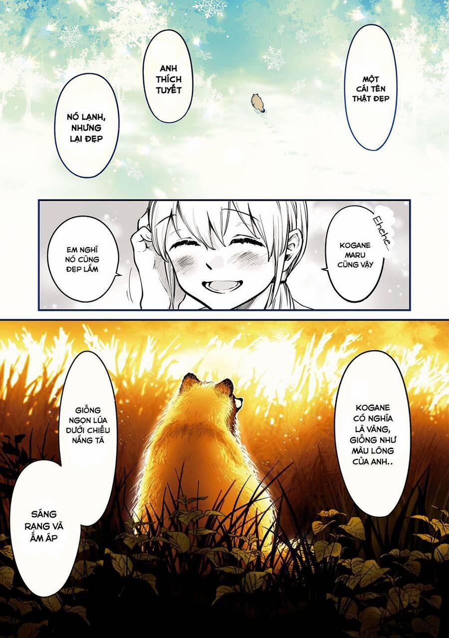 Tanuki 14 trang 7