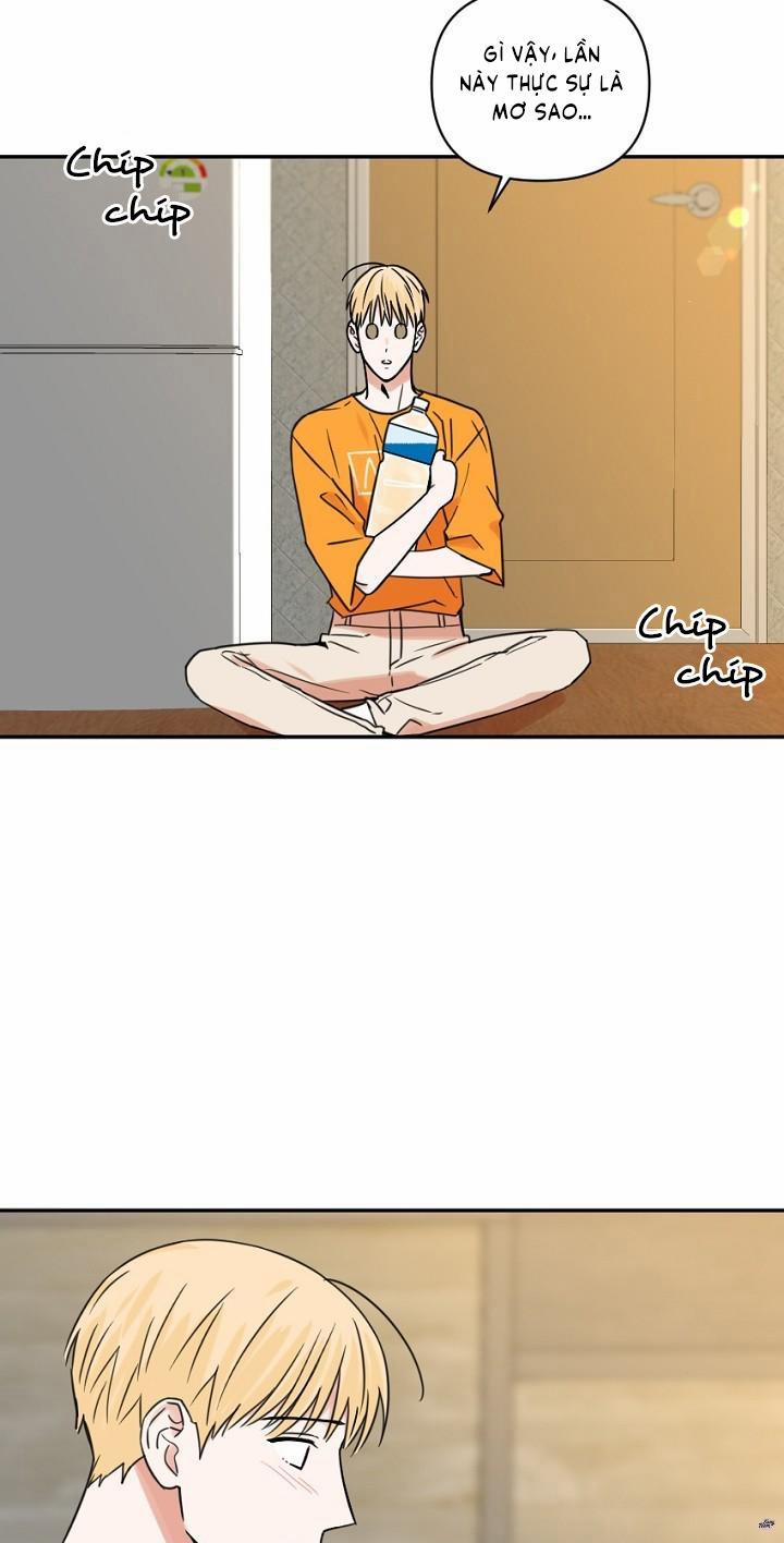Tên Cậu Là Gì? 13 trang 28