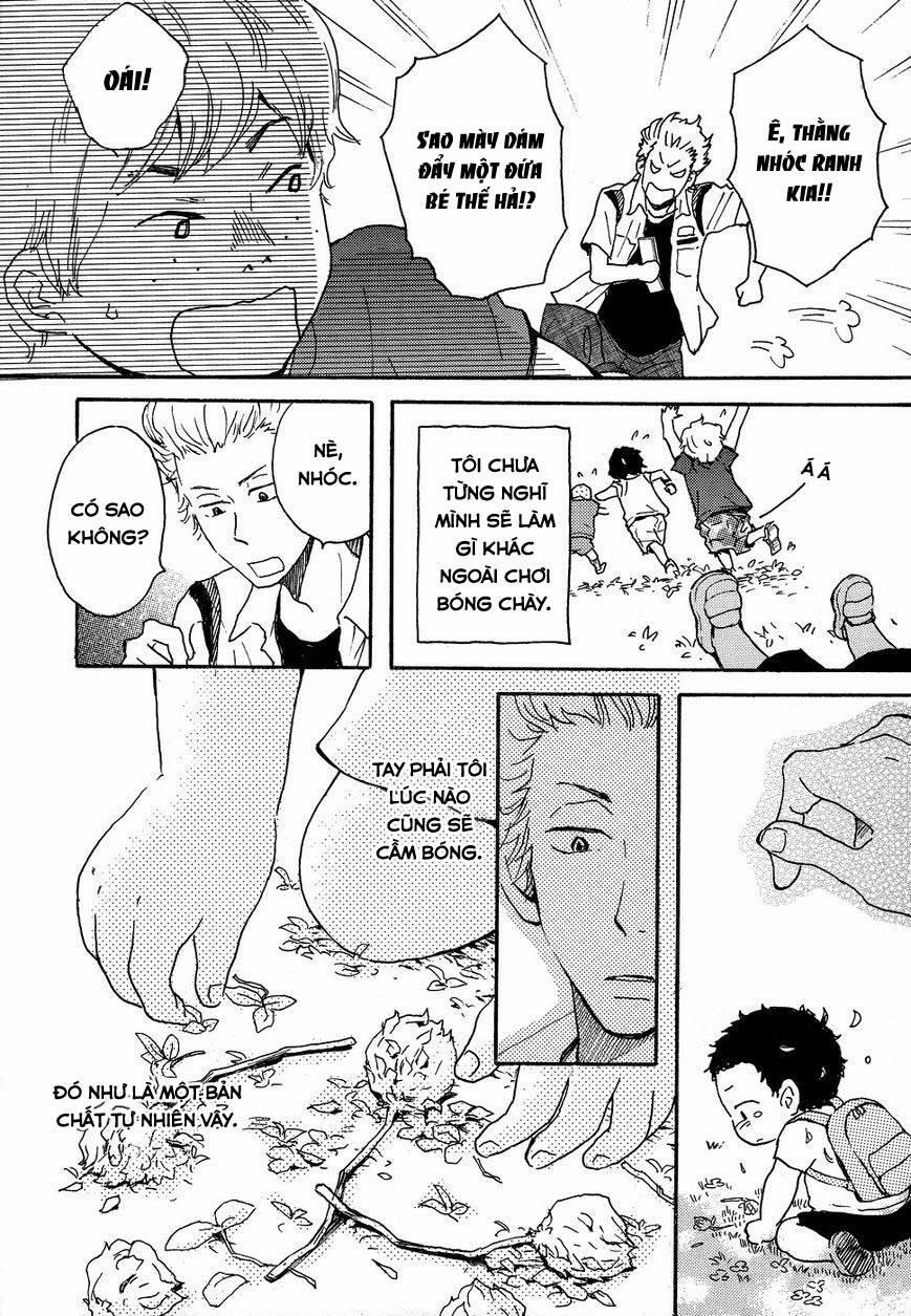 Tenohira Size 7 trang 20