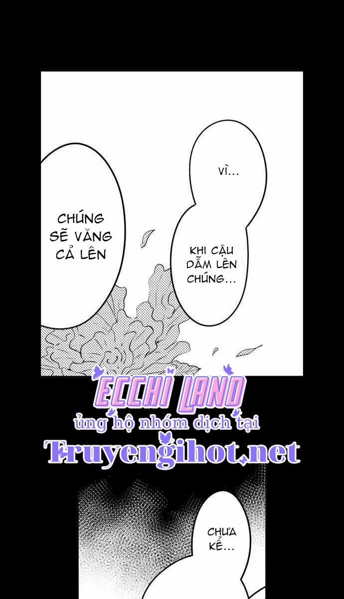 Thả Thính Chàng Gấu Nhà Tôi 39.2 trang 12