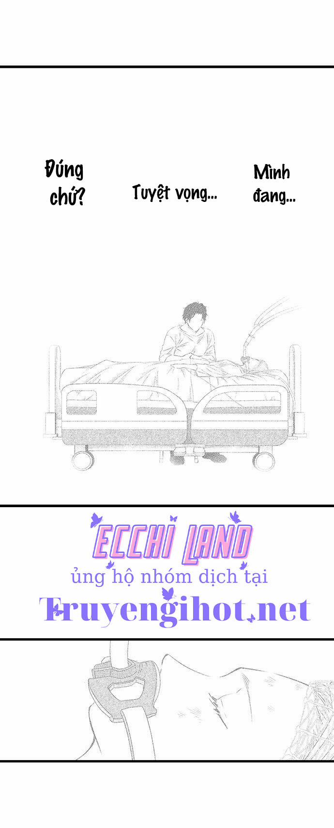 Thả Thính Chàng Gấu Nhà Tôi 59.1 trang 4