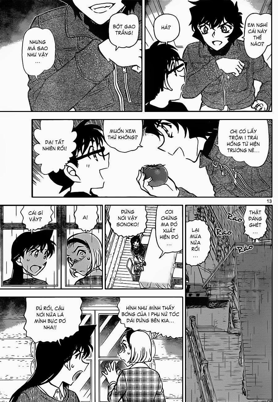 Thám Tử Conan 873 trang 13