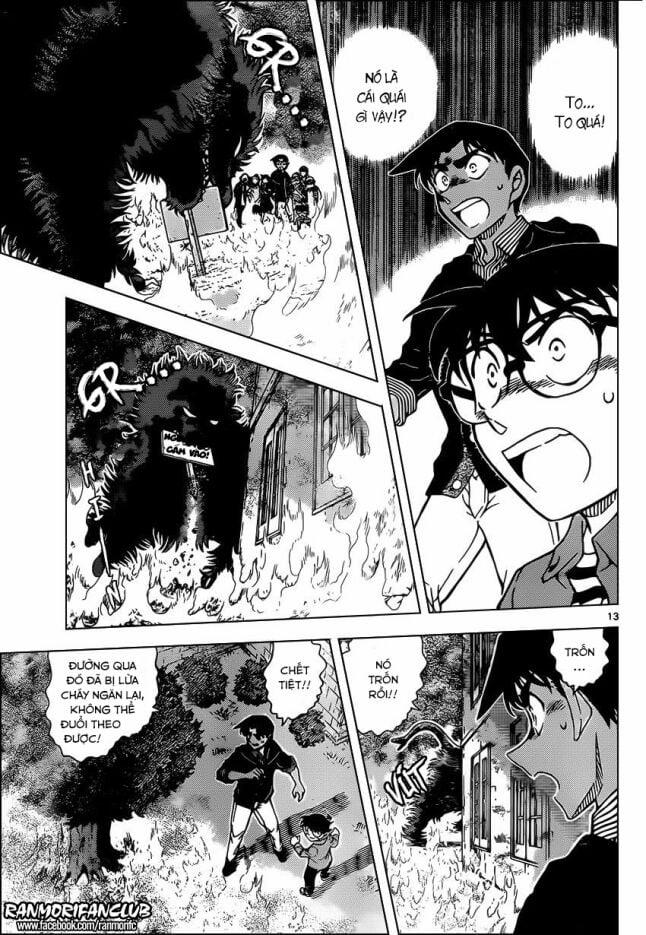 Thám Tử Conan 959 trang 12