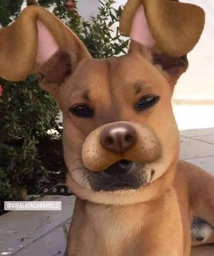 Thanh Gươm Diệt Quỷ 170 trang 20