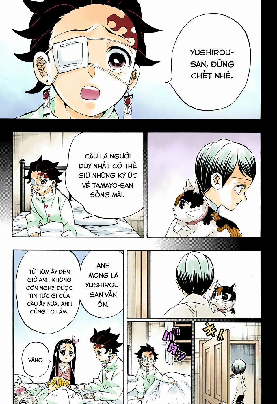Thanh Gươm Diệt Quỷ 204 trang 11