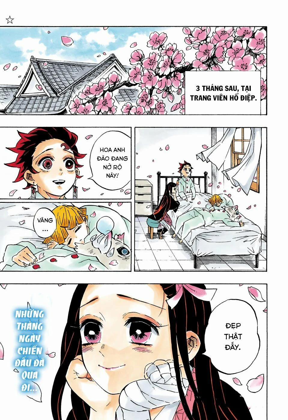 Thanh Gươm Diệt Quỷ 204 trang 5