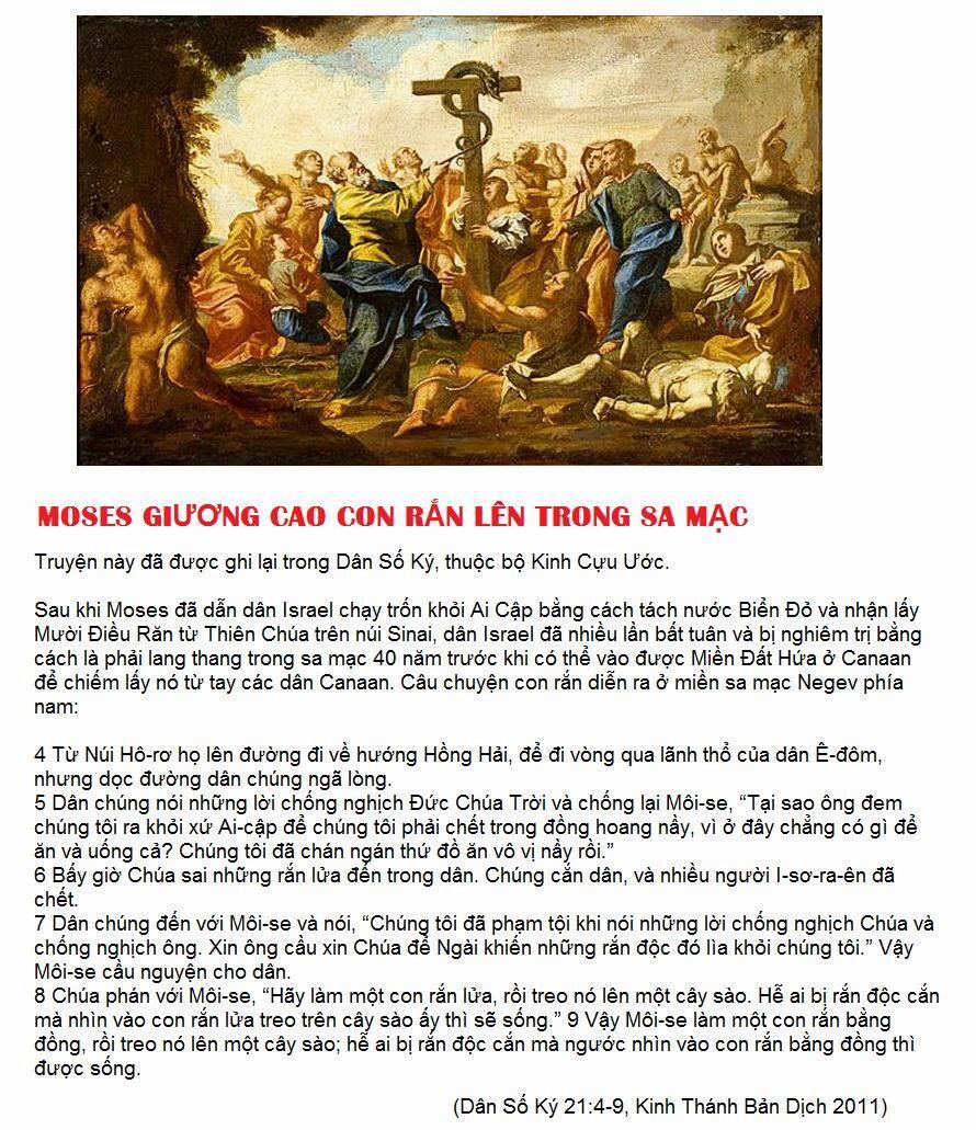 Thánh Kinh Truyện – Đấng Cứu Thế 6 trang 12