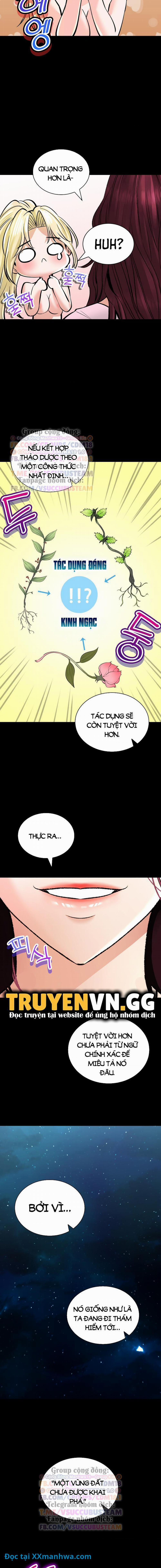 Thảo Mộc Tình Ái 43 trang 13