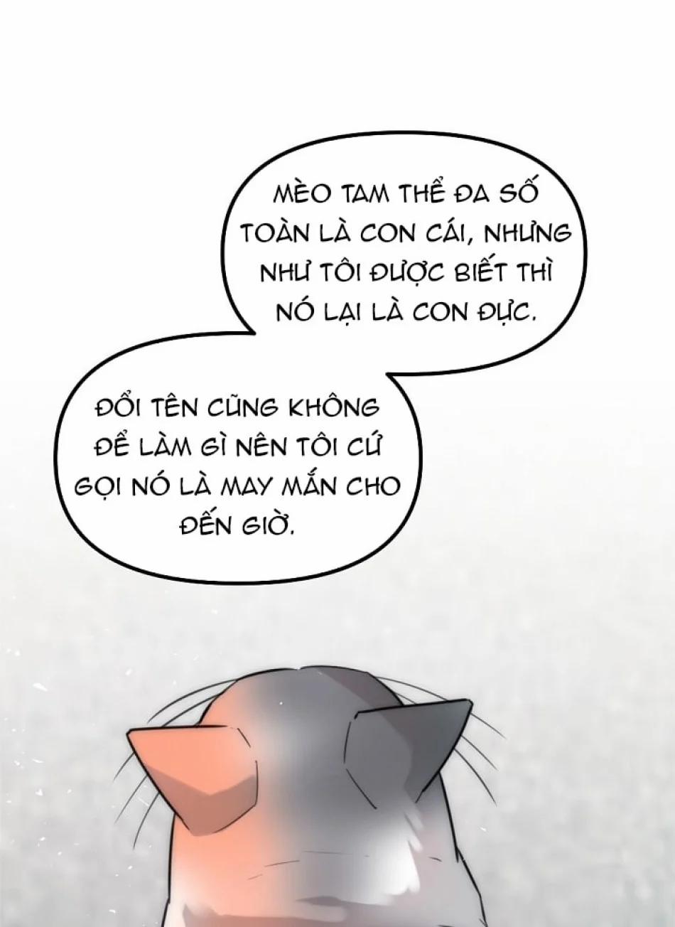 Thầy Giáo Sa Lưới 8 trang 68