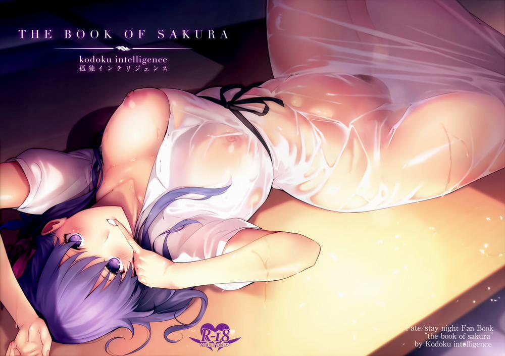 The Book Of Sakura (Fate/Stay Night) Oneshot trang 18