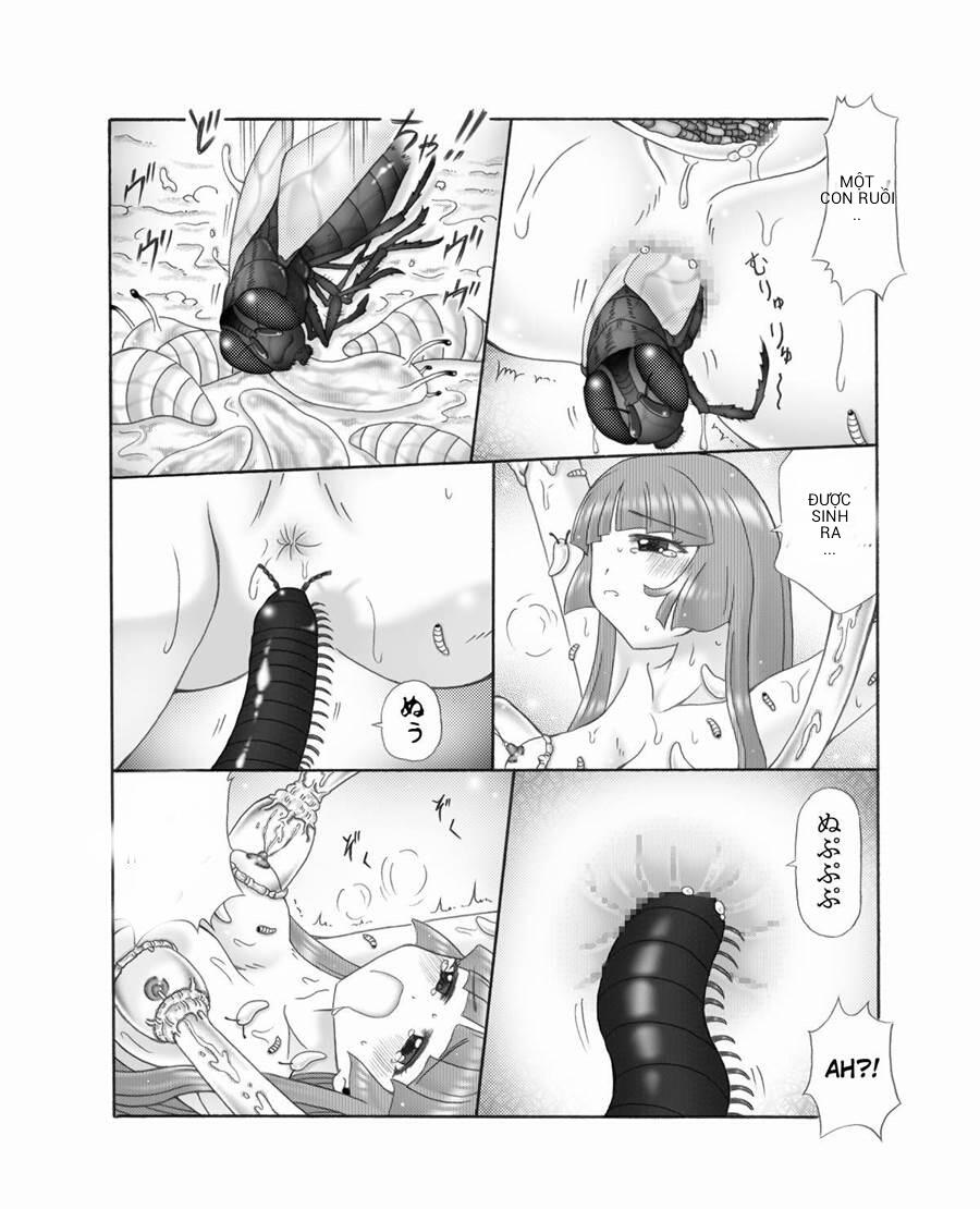 Thế giới côn trùng 5 [END] trang 10