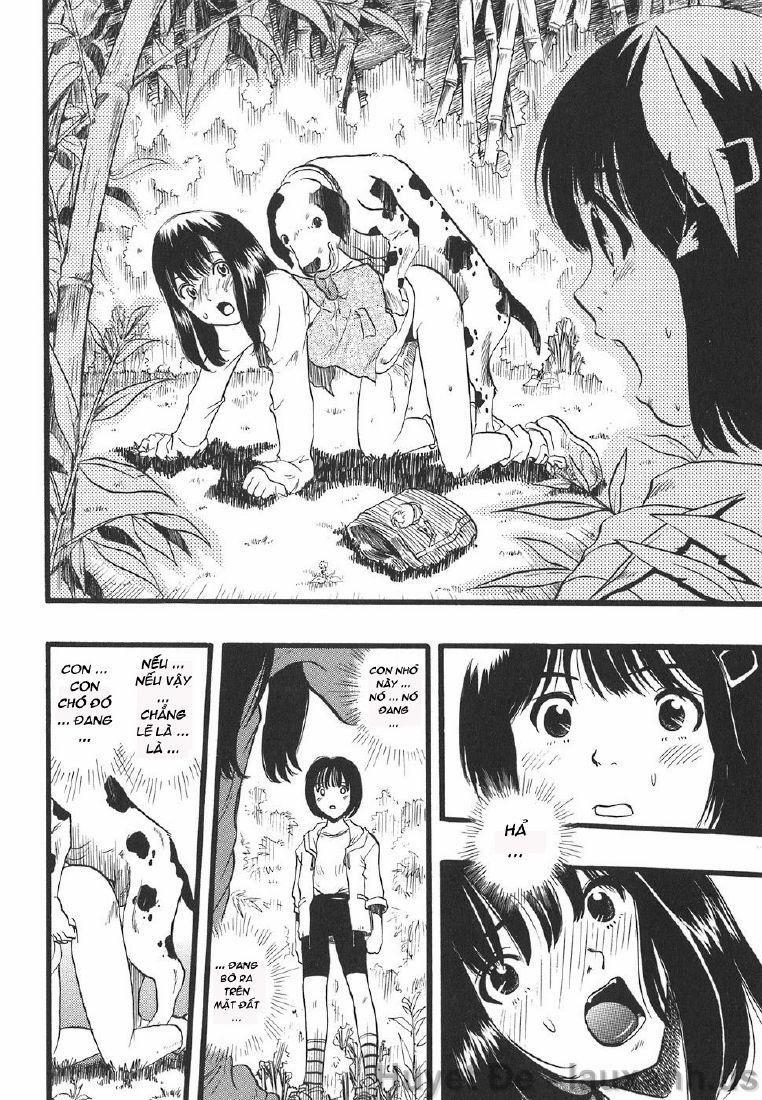 The Girl Dreams Dogs 1 trang 5