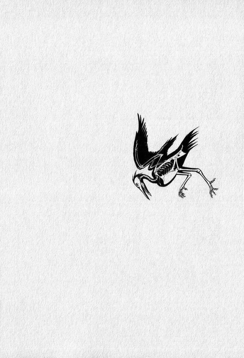 The Kurosagi Corpse Delivery Service 12 trang 46