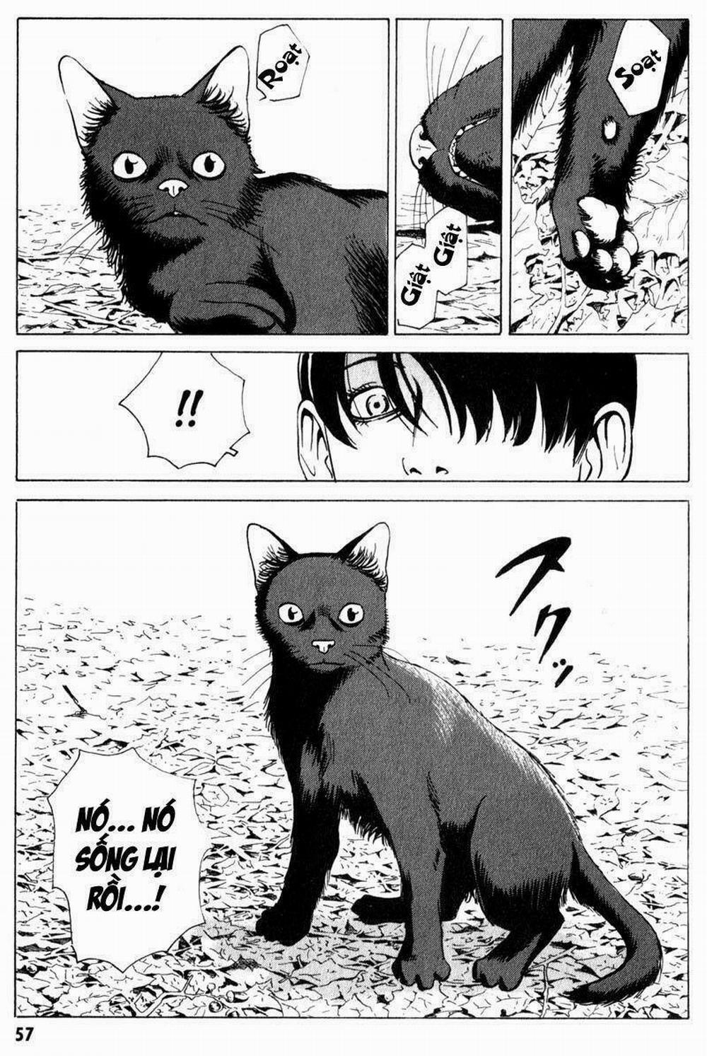 The Kurosagi Corpse Delivery Service 6 trang 25