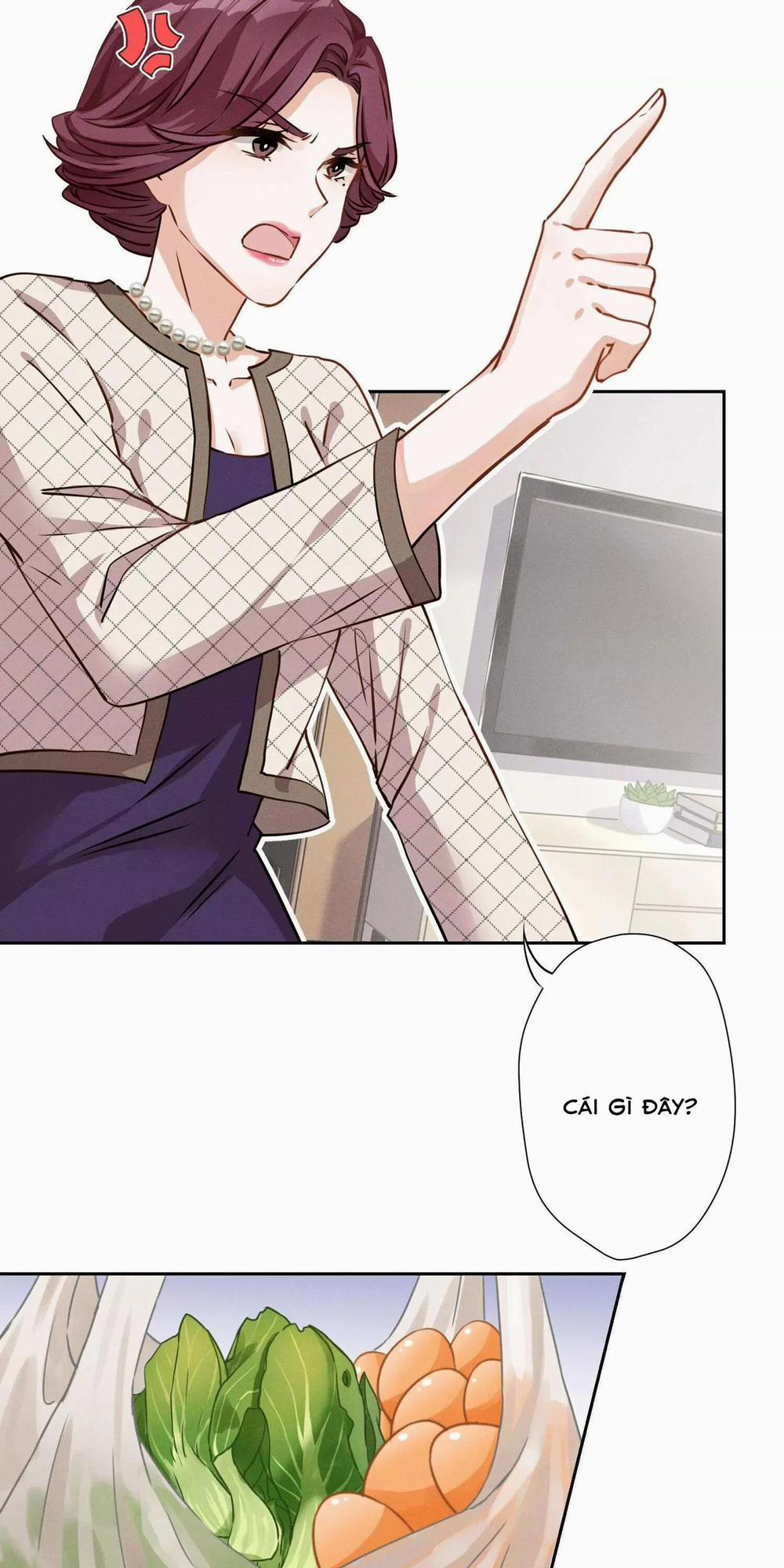 The Most Heroic Son-In-Law 2 trang 4